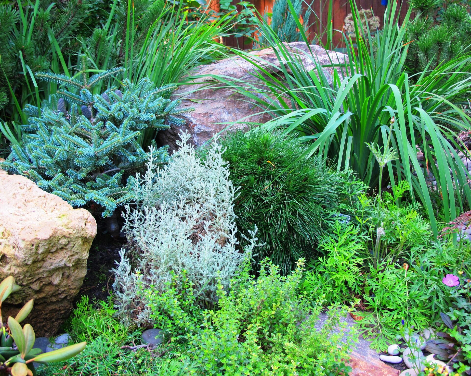 Каменистый сад у Мещерского парка